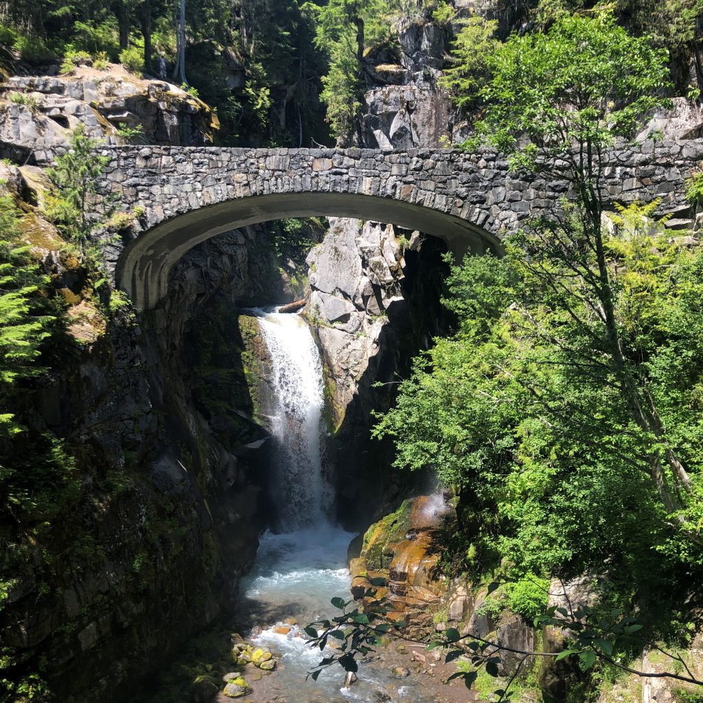 Mt Rainier walking trails