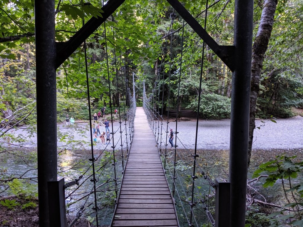 Mt Rainier foot bridge