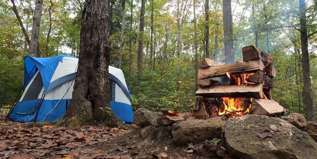 Tent set up under a canopy next to a potential "widowmaker" tree.