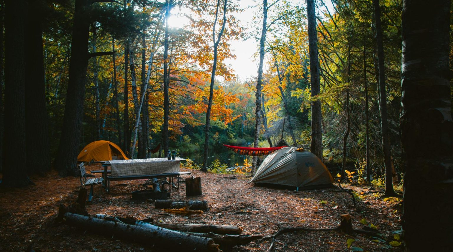 Campsite in a clearing under a canopy of fall foliage with tents and eating area.