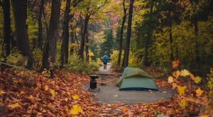 An autumn scene deep in the forest with a campsite in the foreground, very well maintained, and a hiker seen from the back walking on a designated trail.