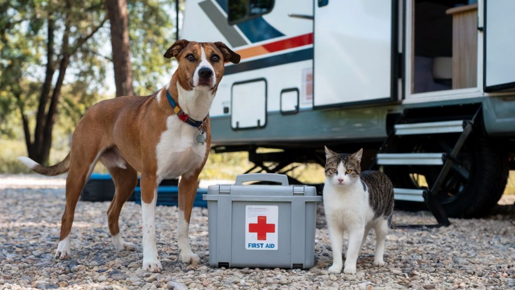 A medium-sized brown and white mutt next to a tabby cat outside an RV home. There is a first aid box between them to show the need to have all the essential safety supplies available for pet travel.