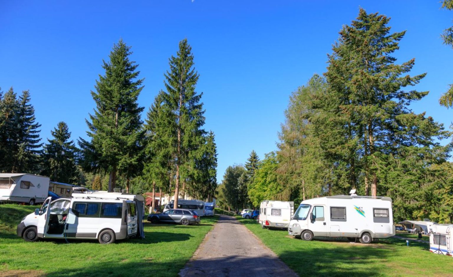 Photo of a group of vans meeting at a campsite with tall pines in the background with a clear blue sky overhead.