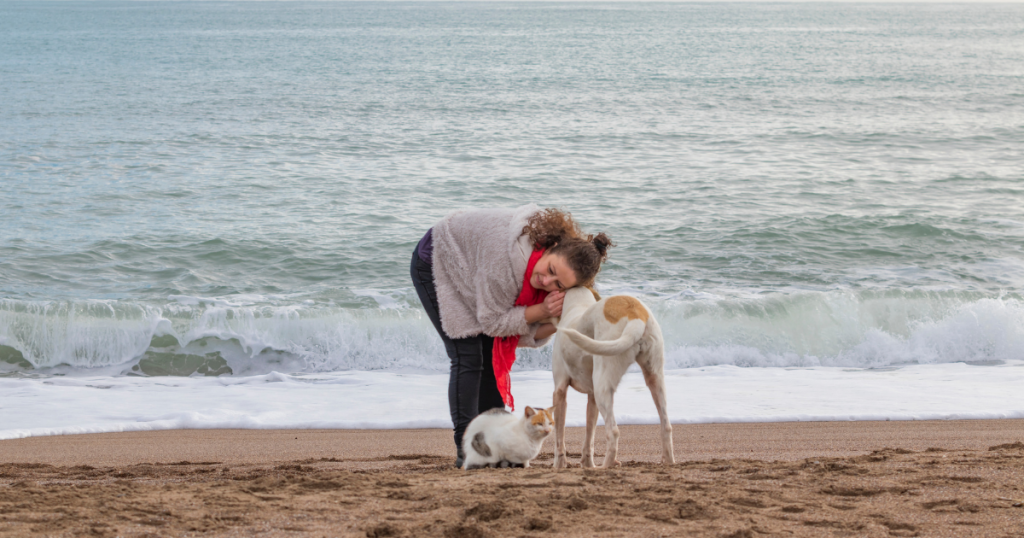 A woman playing with her dog and cat on a pet-friendly beach, one of the considerations for glamping with pets.