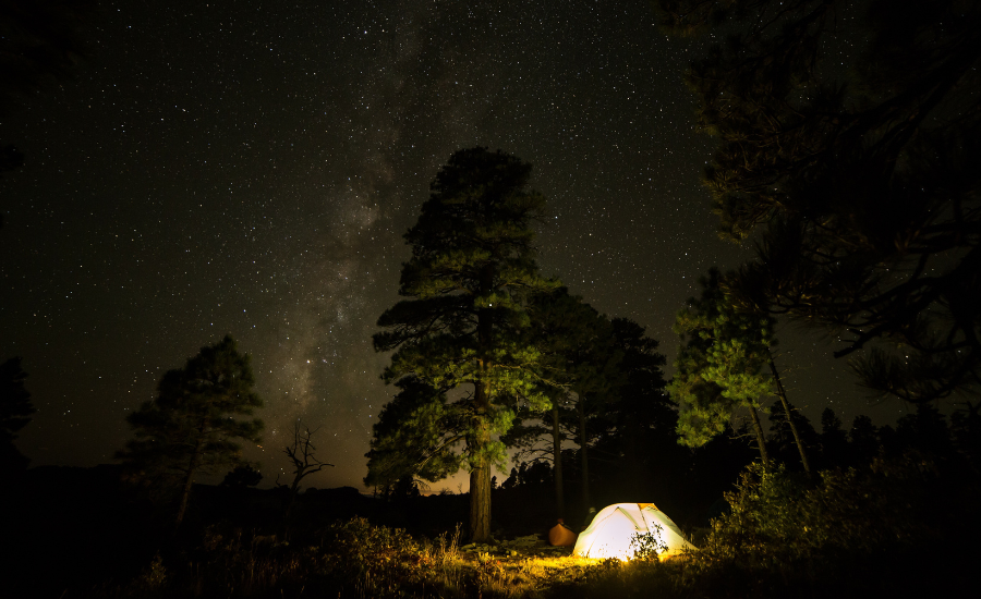 A two-person tent under pine trees at night. The tent is seen from a distance and is brightly lit with a camping lantern inside the tent.