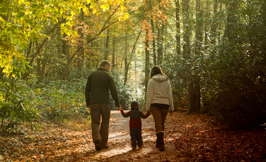 A mother and father taking a leisurely autumn hike with their young son, bonding in nature.