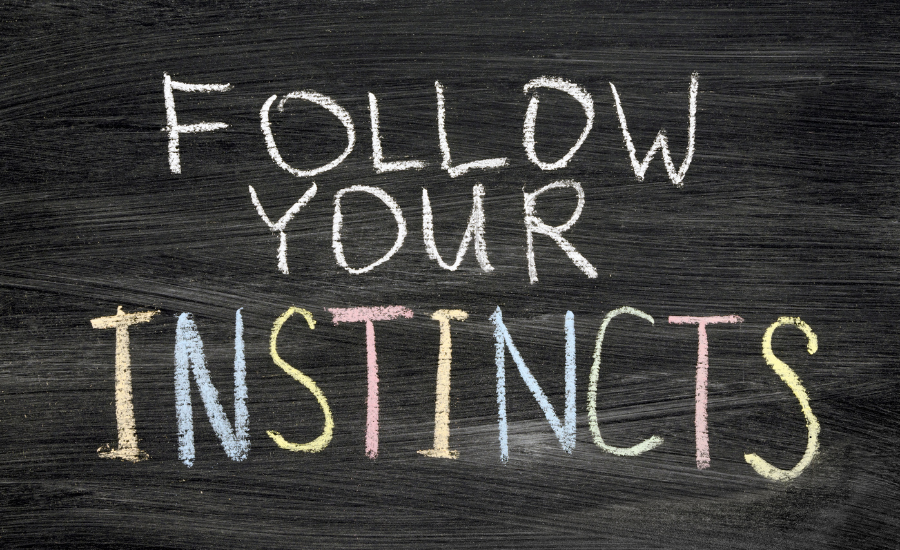 Rustic board showing "follow your instincts".