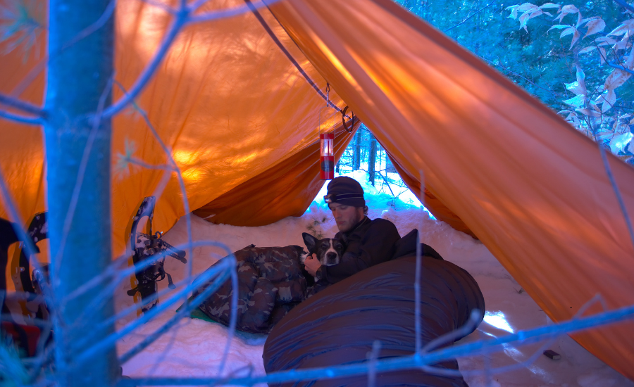 A man bundled up in his tent with his dog. People and animals are great camping companions.