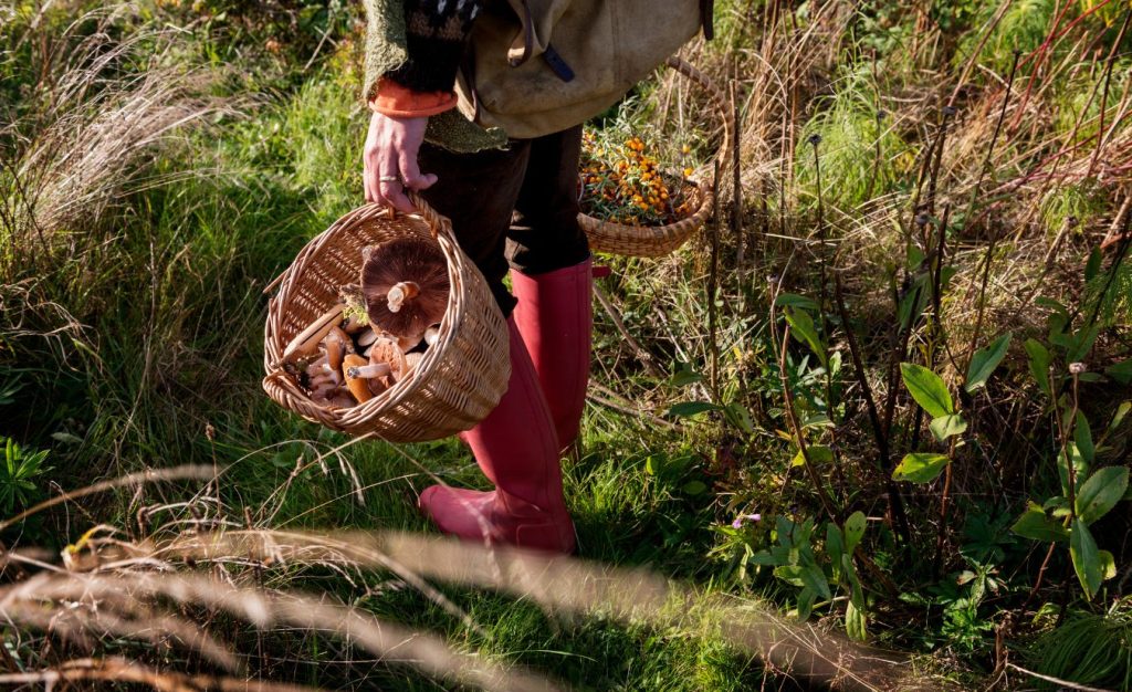 A woman wearing boots and holding a basket full of items that she found foraging on her camping trip.