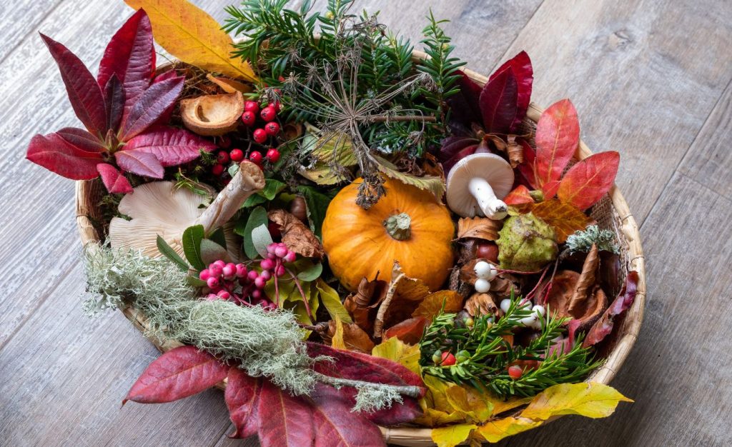 A basket filled with edible plants typical for the autumn season, showing the importance of seasonal awareness while foraging.