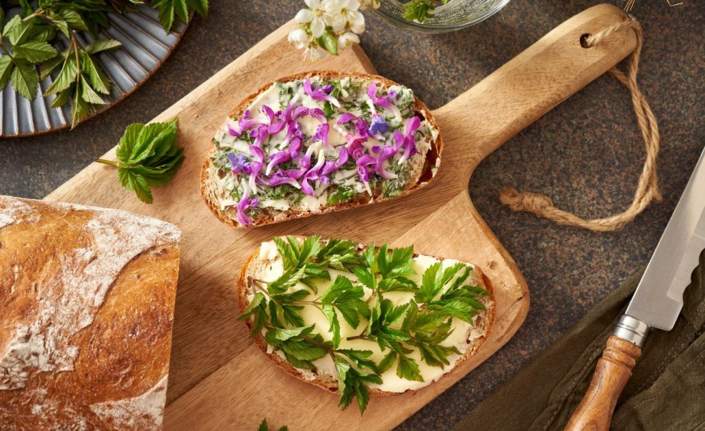 Bread topped with farm-raised cheese and edible plants.